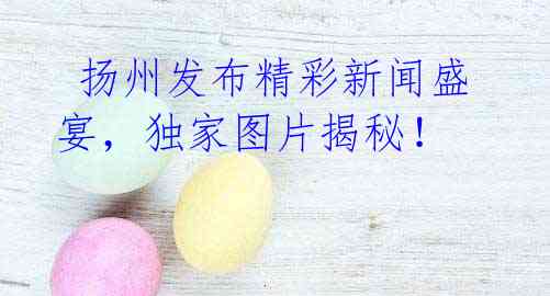  扬州发布精彩新闻盛宴，独家图片揭秘！