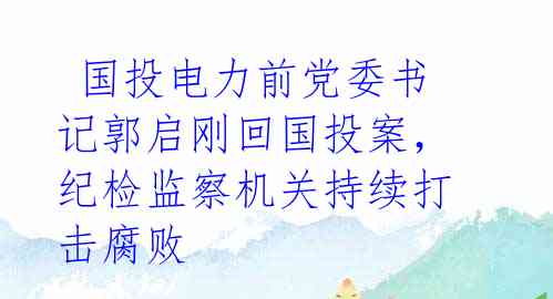 国投电力前党委书记郭启刚回国投案,纪检监察机关持续打击腐败