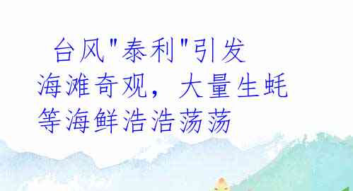 台风"泰利"引发海滩奇观,大量生蚝等海鲜浩浩荡荡