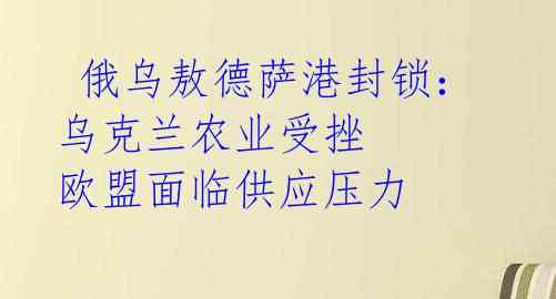 俄乌敖德萨港封锁:乌克兰农业受挫 欧盟面临供应压力