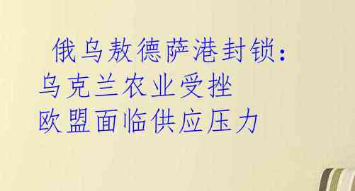  俄乌敖德萨港封锁：乌克兰农业受挫 欧盟面临供应压力 