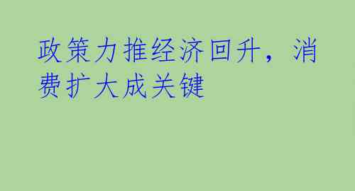 政策力推经济回升,消费扩大成关键