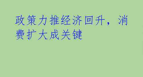 政策力推经济回升，消费扩大成关键 