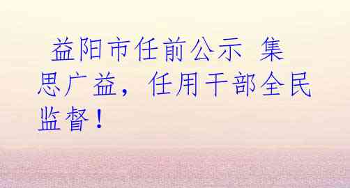 益阳市任前公示 集思广益,任用干部全民监督!