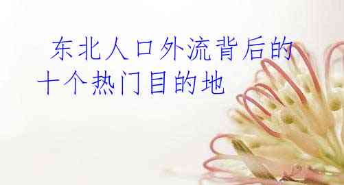  东北人口外流背后的十个热门目的地