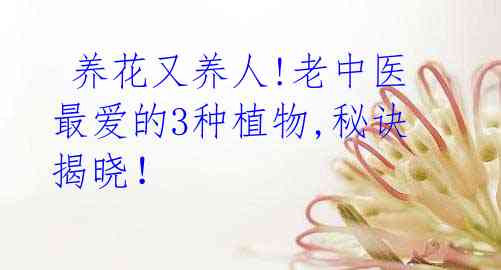 养花又养人!老中医最爱的3种植物,秘诀揭晓！