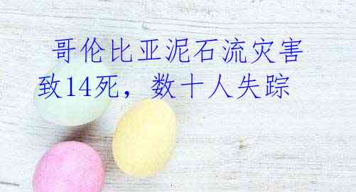  哥伦比亚泥石流灾害致14死，数十人失踪