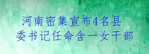 河南密集宣布4名县委书记任命含一女干部