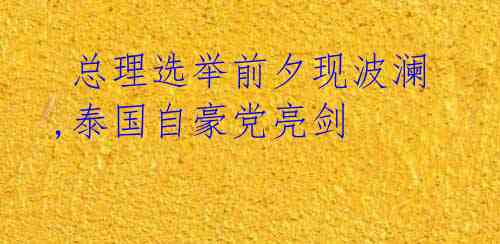 总理选举前夕现波澜,泰国自豪党亮剑