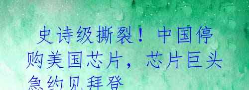  史诗级撕裂！中国停购美国芯片，芯片巨头急约见拜登