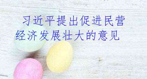 习近平提出促进民营经济发展壮大的意见