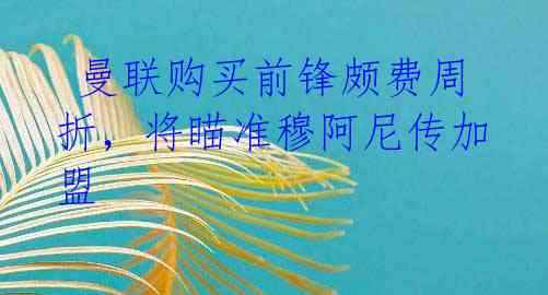 曼联购买前锋颇费周折,将瞄准穆阿尼传加盟
