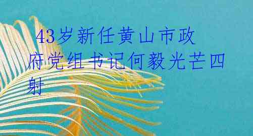  43岁新任黄山市政府党组书记何毅光芒四射 