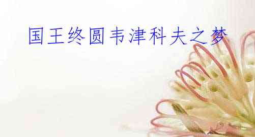 国王终圆韦津科夫之梦