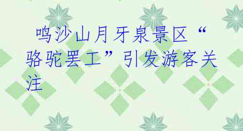 鸣沙山月牙泉景区“骆驼罢工”引发游客关注