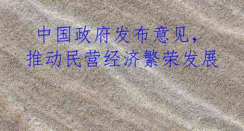 中国政府发布意见,推动民营经济繁荣发展