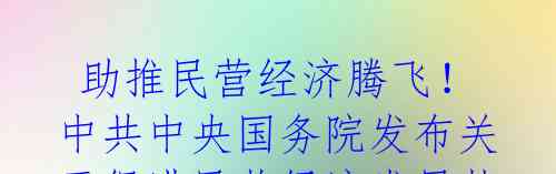  助推民营经济腾飞！中共中央国务院发布关于促进民营经济发展壮大的意见 