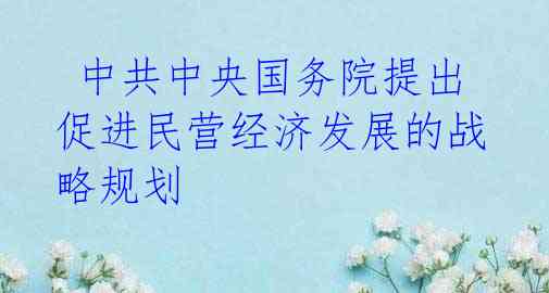 中共中央国务院提出促进民营经济发展的战略规划