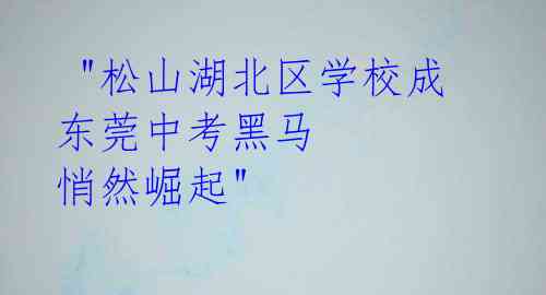 "松山湖北区学校成东莞中考黑马 悄然崛起"