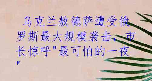  乌克兰敖德萨遭受俄罗斯最大规模袭击，市长惊呼"最可怕的一夜" 