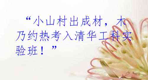 “小山村出成材,木乃约热考入清华工科实验班!”