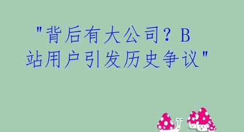  "背后有大公司？B站用户引发历史争议" 