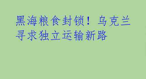黑海粮食封锁!乌克兰寻求独立运输新路