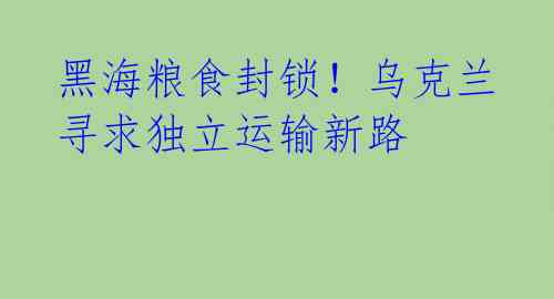 黑海粮食封锁！乌克兰寻求独立运输新路 