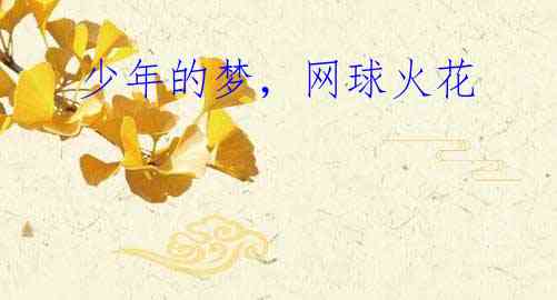 少年的梦,网球火花
