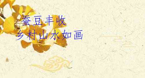 蚕豆丰收 乡村山水如画