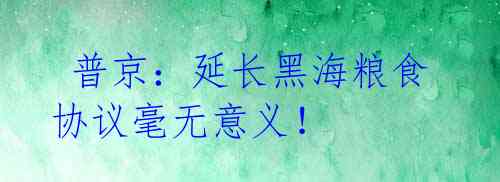 普京:延长黑海粮食协议毫无意义!