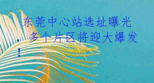  东莞中心站选址曝光，多个片区将迎大爆发！ 