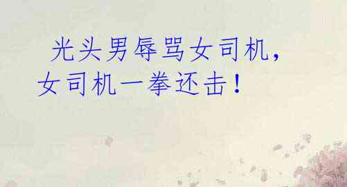光头男辱骂女司机,女司机一拳还击!
