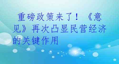  重磅政策来了！《意见》再次凸显民营经济的关键作用 