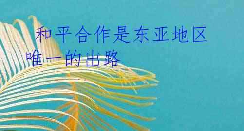 和平合作是东亚地区唯一的出路
