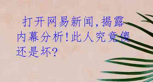  打开网易新闻,揭露内幕分析!此人究竟傻还是坏? 