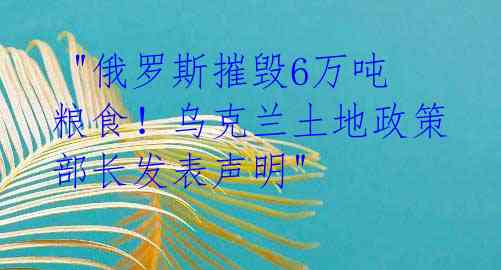  "俄罗斯摧毁6万吨粮食！乌克兰土地政策部长发表声明"