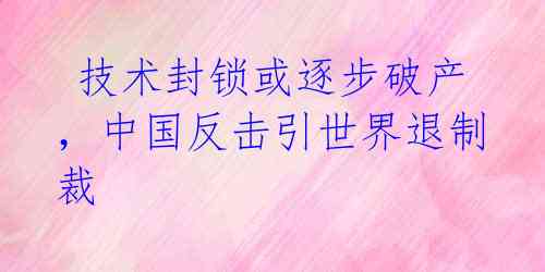  技术封锁或逐步破产，中国反击引世界退制裁