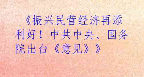  《振兴民营经济再添利好！中共中央、国务院出台《意见》》