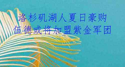  洛杉矶湖人夏日豪购 伍德或将加盟紫金军团 