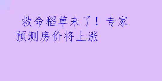 救命稻草来了!专家预测房价将上涨