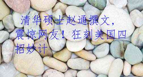 清华硕士赵通撰文,震惊网友!狂刻美国四招妙计