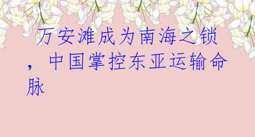 万安滩成为南海之锁,中国掌控东亚运输命脉