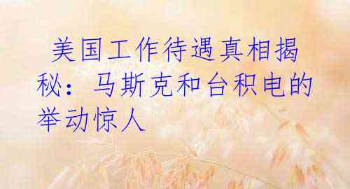 美国工作待遇真相揭秘:马斯克和台积电的举动惊人
