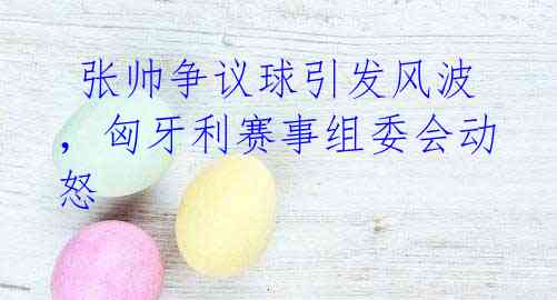 张帅争议球引发风波,匈牙利赛事组委会动怒