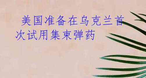 美国准备在乌克兰首次试用集束弹药