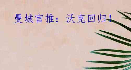 曼城官推:沃克回归!