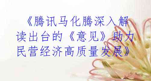 《腾讯马化腾深入解读出台的《意见》助力民营经济高质量发展》