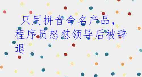 只用拼音命名产品,程序员怒怼领导后被辞退