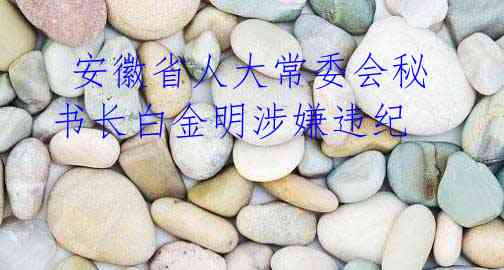 安徽省人大常委会秘书长白金明涉嫌违纪